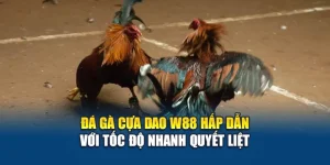 Đá Gà Cựa Dao W88 Hấp Dẫn Với Tốc Độ Nhanh Quyết Liệt