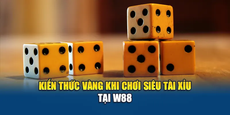 Kiến thức vàng khi chơi Siêu Tài Xỉu tại W88