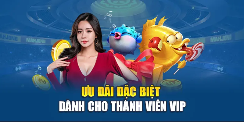 Ưu đãi đặc biệt dành cho thành viên VIP